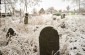 El cementerio judío en Illintsi. © Aleksey Kasyanov/Yahad-In Unum
